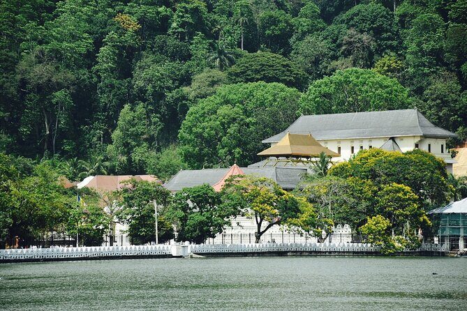 Highlights of Sri Lanka 8 Days Private Tour - Day 4: Temple of the Tooth Relic, Peradeniya Botanic Gardens, Ramboda Falls, and tea at Damro Labookellie
