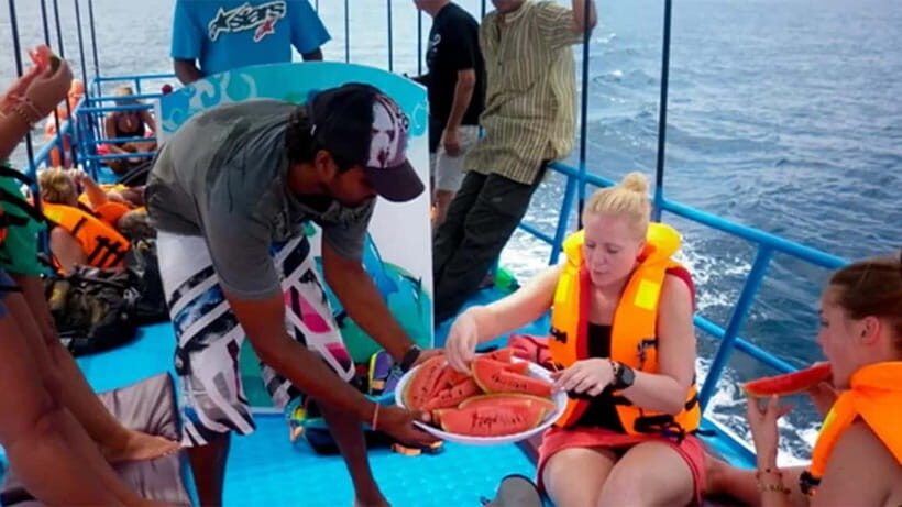 Hikkaduwa/Galle/Ahangama: Whale Watching Tour in Mirissa - What You Might See: Blue Whales, Sperm Whales, and Dolphins