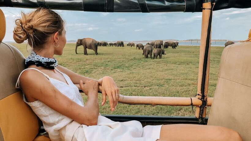 Hikkaduwa/Galle/Weligama/Mirissa/Tangalle: Udawalawa Safari - Why Udawalawe Is Such a Strong Choice For Wild Elephants