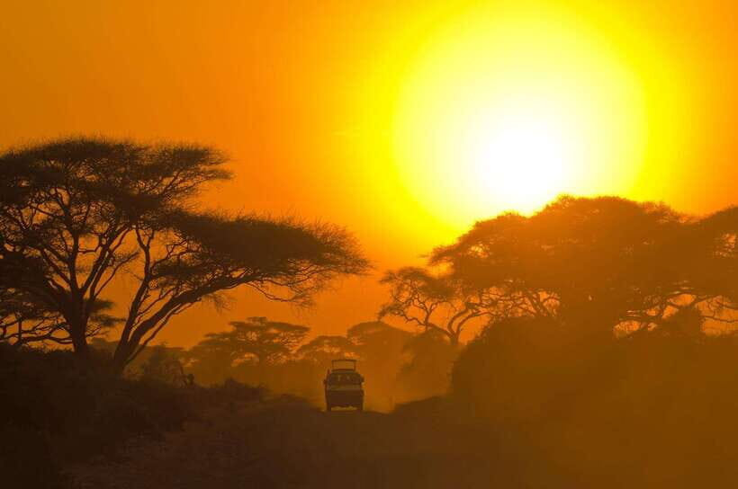 Hikkaduwa/Galle/Weligama/Mirissa/Tangalle: Udawalawa Safari - The 4x4 Jeep Safari: What You’re Likely to See