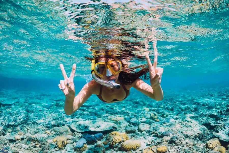 Hikkaduwa Snorkeling Tour: 2 Hours of Underwater Adventure - Key things I’d bookmark before you go