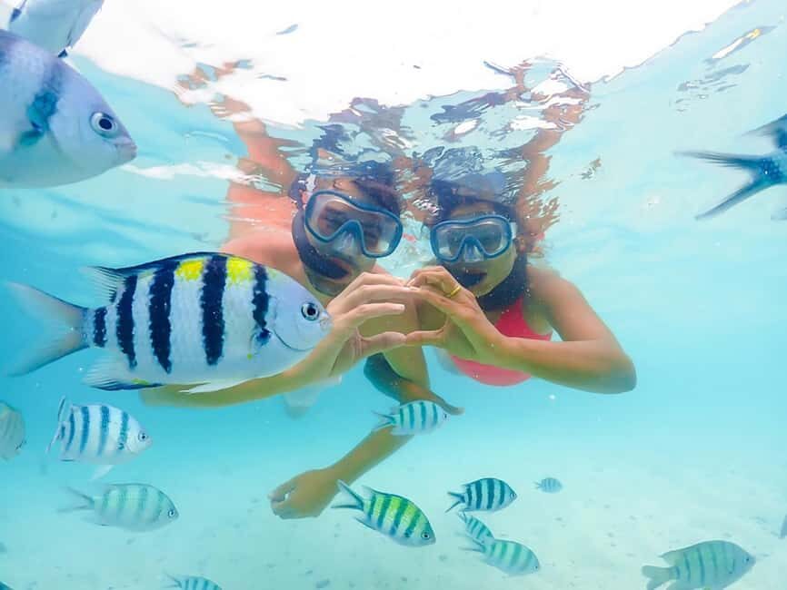Hikkaduwa Snorkeling Tour: 2 Hours of Underwater Adventure - Hikkaduwa’s shallow bay: why this area works for snorkelers