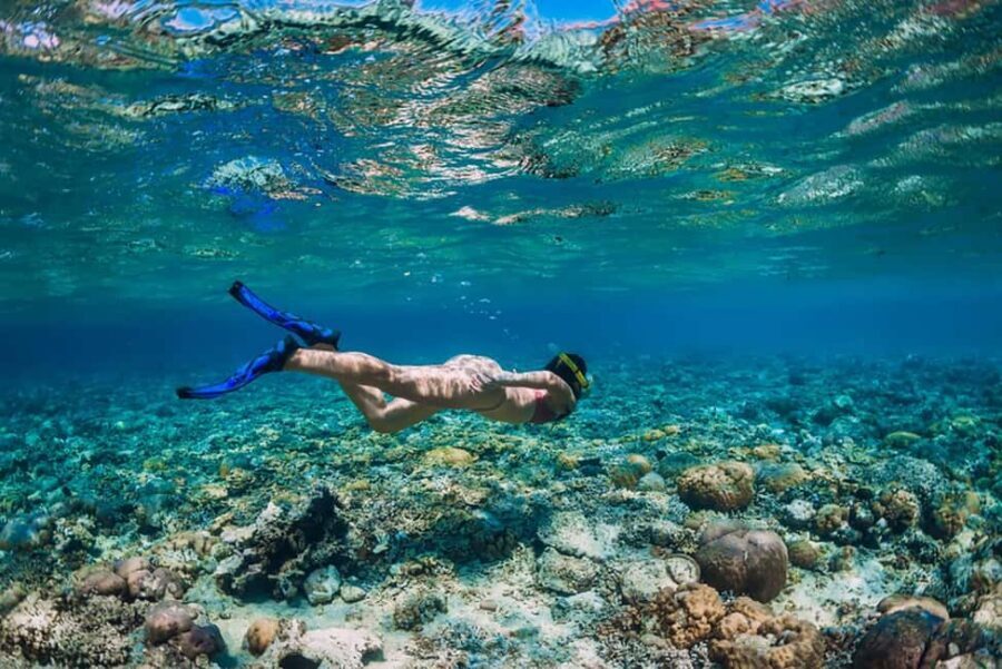 Hikkaduwa Snorkeling Tour: 2 Hours of Underwater Adventure - Photography help in clear water: how to get shots without turning it into work