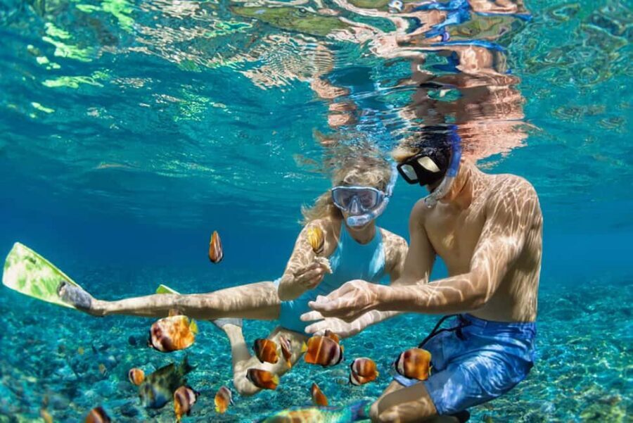 Hikkaduwa Snorkeling Tour: 2 Hours of Underwater Adventure - What to bring: your checklist for a smooth snorkeling session