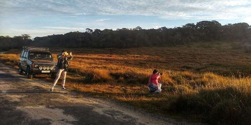 Horton plains: Discover real essence of central highland - Trekking Horton Plains: Baker’s Falls, World’s End, and ancient forest vibes