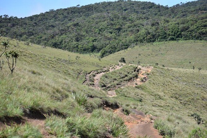 Horton Plains National Park Entrance Ticket with Guide - What your $120 covers (and why it can be good value)