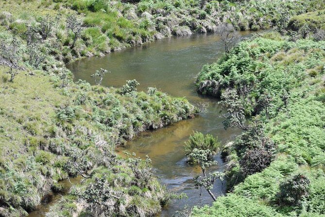 Horton Plains National Park Entrance Ticket with Guide - Stop 2: World’s End—when you really feel the drop