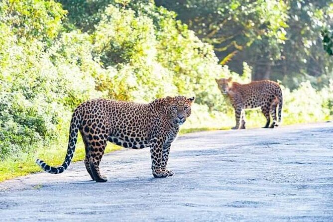 Horton Plains National park in Nuwara eliya - Price and value: what $45 per group really buys you