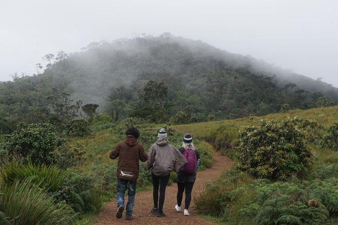 Horton Plains National park in Nuwara eliya - Greater and Mini World’s End: how to enjoy the cloud-edge feeling