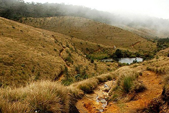 Horton Plains-World's End Tour and Tea Factory Tour From Nuwaraeliya - Key highlights you’ll actually care about