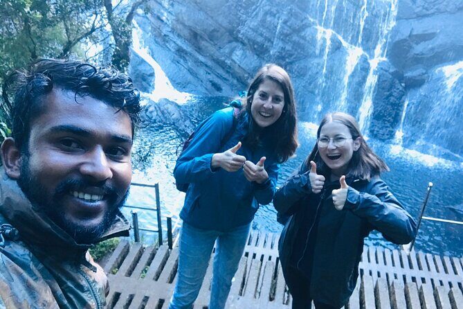 Horton Plains-World's End Tour and Tea Factory Tour From Nuwaraeliya - Damro Labookellie Tea Centre: where the views turn into tea trivia