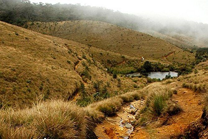 Horton Plains-World's End Tour From Nuwaraeliya - Quick take: what matters most on this Horton Plains hike