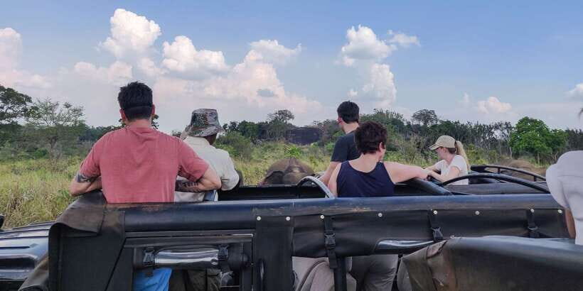 Hurulu Eco Park: 3-Hour Morning or Evening Safari - The role of the tracker (and why driver positioning matters)