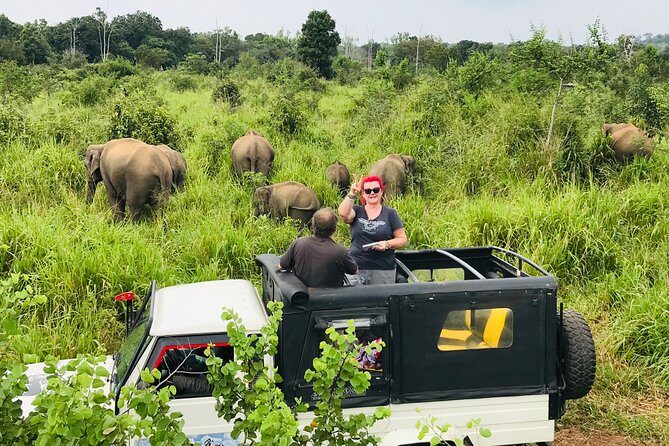 Hurulu Eco Park Half Day Safari - Minneriya’s elephant-gathering draw in a half day
