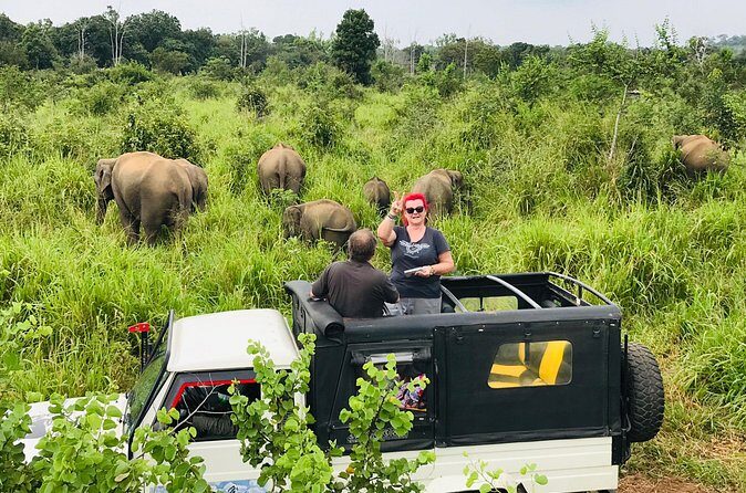 Hurulu Eco Park Half Day Safari - Open sides and photo time from a comfy adjustable-seat 4WD