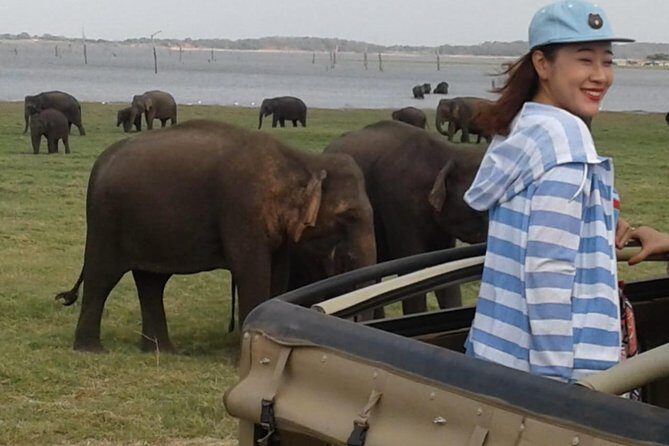 Hurulu eco park jeep safari - Who this safari is best for
