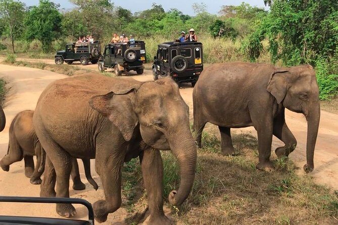 Hurulu Eco Park Private Safari - Park Entry and Tickets: Know What’s Included vs Paid in Cash