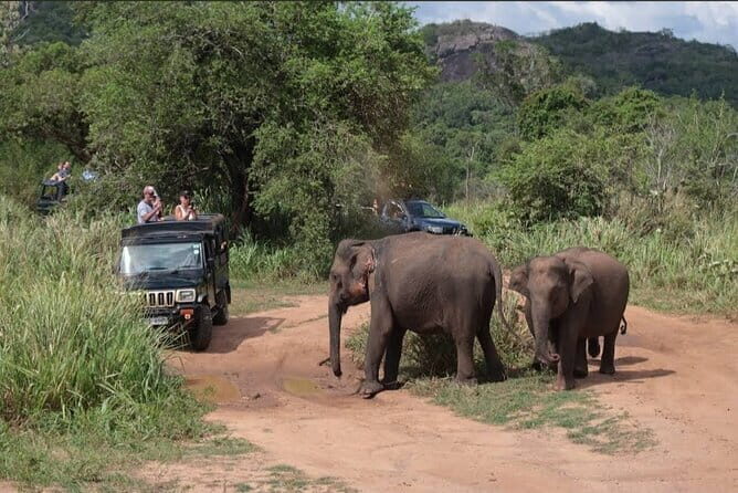 Hurulu Eco Park Safari Adventure - Key things to know before you go