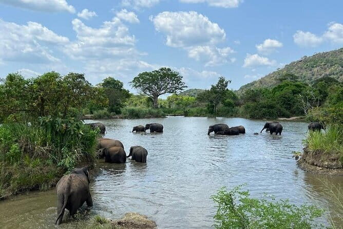 Hurulu Eco Park Safari Adventure - Stop 1 at Hurulu Eco Park: what you’ll do and what can go wrong