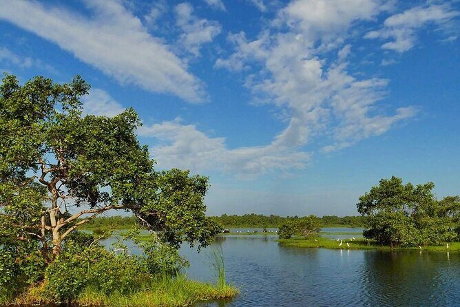 Kalametiya Bird Sanctuary Catamaran Bird Watching Tour - The 2–3 hour catamaran ride: making sense of the schedule