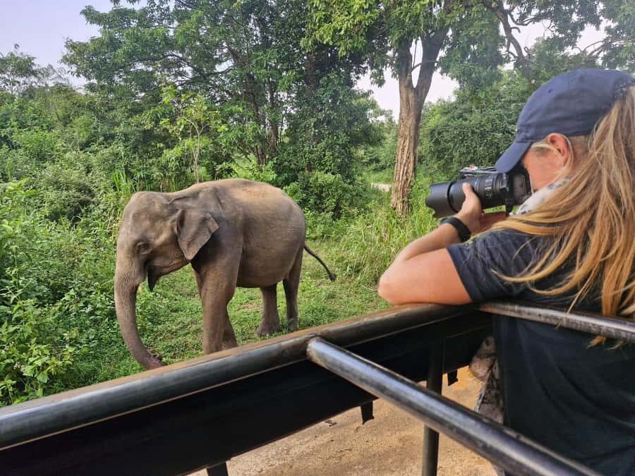 Kandy: 4-Day Sri Lanka Full Circle Private Tour To Colombo - Key Highlights You’ll Care About