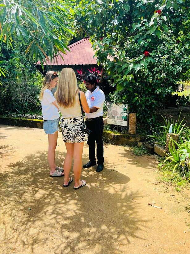 Kandy City Day Tour from Colombo, Negombo or Katunayake - Giragama Tea Factory: from leaf to cup (and why it’s worth the stop)