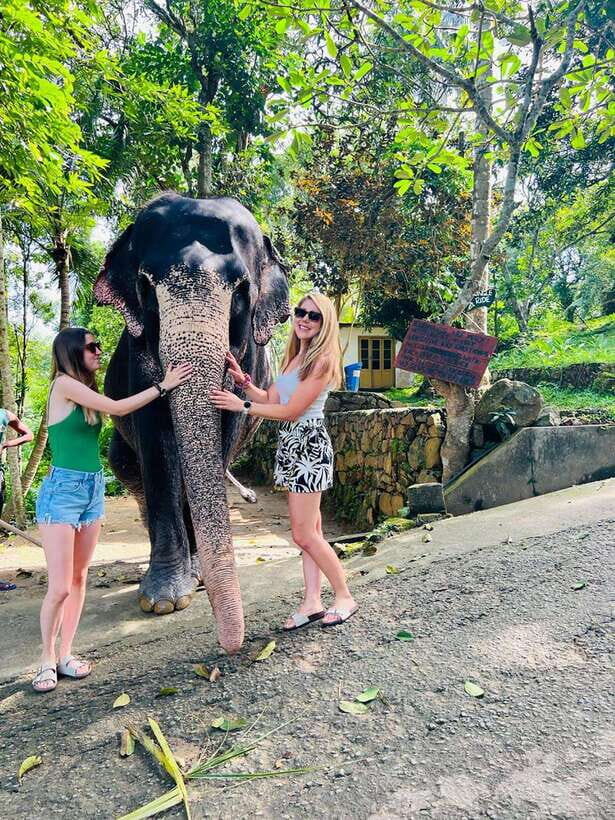 Kandy City Day Tour from Colombo, Negombo or Katunayake - Price, value, and whether it’s the right fit for you
