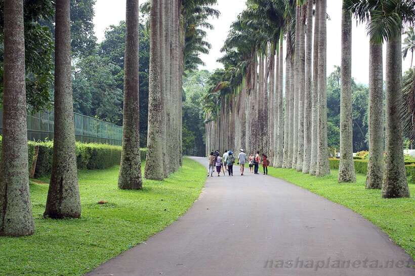Kandy City Explore Full Day Tour , Like a Local - Wood carving family house and the craft side of Kandy