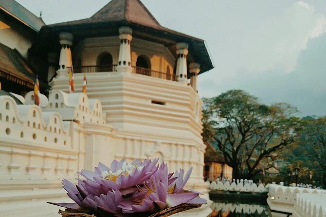 Kandy City guide Tour and day trip private luxury car and van - When this private Kandy day tour fits you best