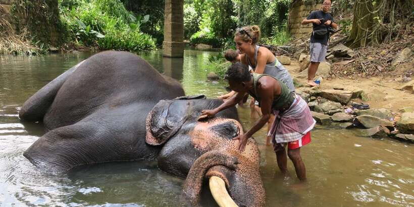 Kandy: City Highlights and Ramboda Waterfall Trip - Key Highlights You’ll Actually Feel