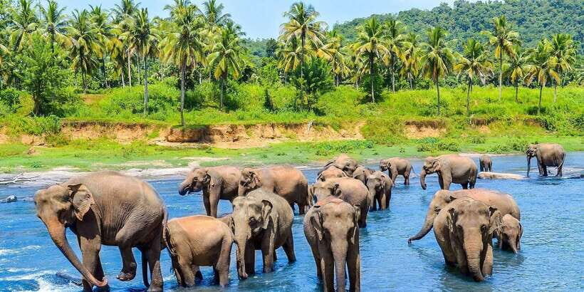 Kandy: City Highlights and Ramboda Waterfall Trip - Asgiriya Stupa and the Craft Stop: Start With Real Kandy