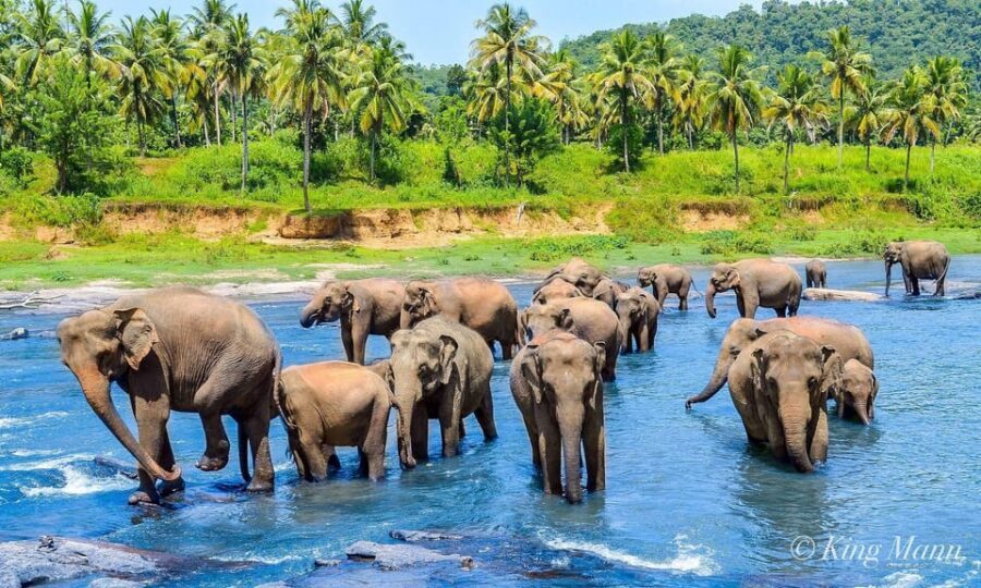 Kandy: City Highlights and Ramboda Waterfall Trip - White Big Buddha and the “Look Back” Moment