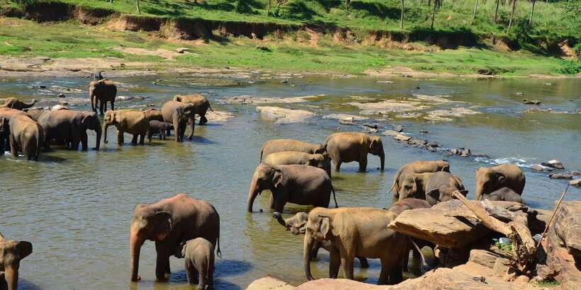 Kandy: City Highlights and Ramboda Waterfall Trip - Pickup, Transport Choice, and How the Day Stays Easy