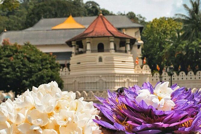 Kandy City Sightseeing and Ambuluwawa Tower by Tuk Tuk Tour - Bahirawakanda Big Buddha: a short visit with citywide impact