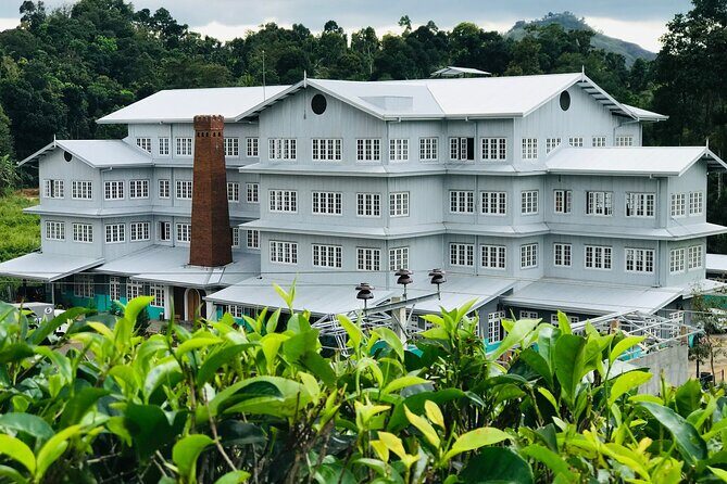 Kandy City Sightseeing and Ambuluwawa Tower by Tuk Tuk Tour - Susantha Spice and Herbal Garden: free, hands-on, and actually useful