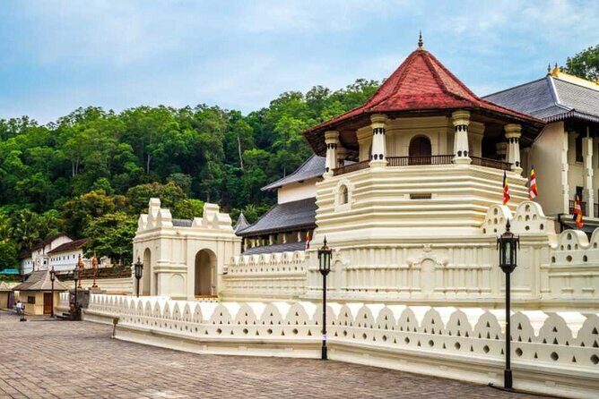 Kandy City Sightseeing Tour by Tuk Tuk - Royal Botanical Gardens Peradeniya: the “pause button” on your itinerary