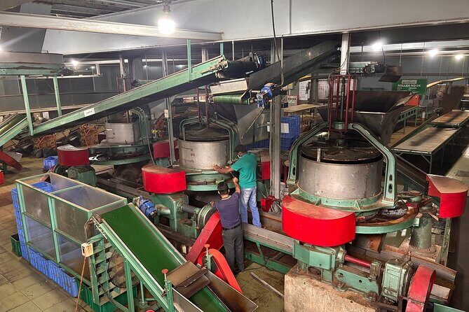 Kandy City Tour By Best Guide Lanka Tours - New Giragama tea factory: see how Ceylon tea turns into a cup