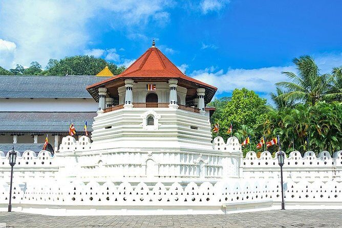 Kandy City Tour by Lux Tours Lanka - Key things to know before you go