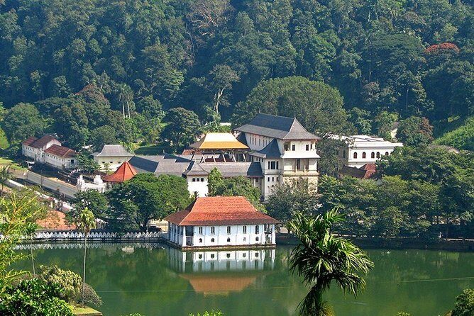 Kandy City Tour by Lux Tours Lanka - Why this Kandy tour works so well for a first visit