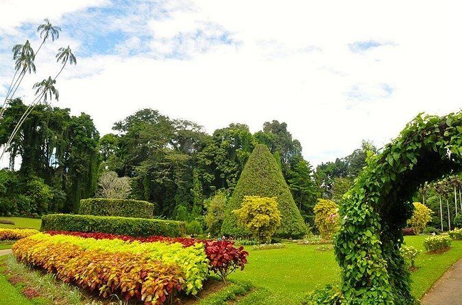 Kandy City Tour by Lux Tours Lanka - Stops 2–3: Bahirawakanda and Udawattakele Forest Reserve