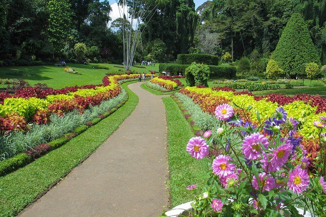 Kandy City Tour from Colombo - Lunch and dinner on your own: how to manage the cost and timing