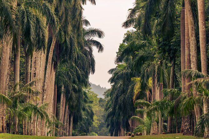 Kandy City Tour from Colombo - Price and value: what the $100 covers and what you’ll add later