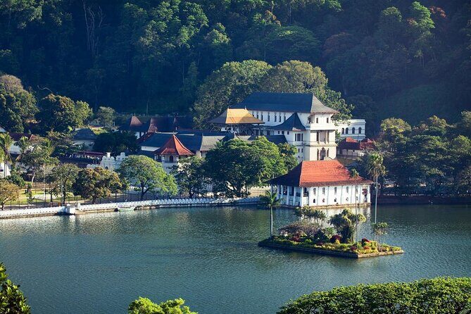 Kandy City Tour from Colombo - Royal Botanical Gardens in Peradeniya: orchids, giant palms, and the suspension bridge