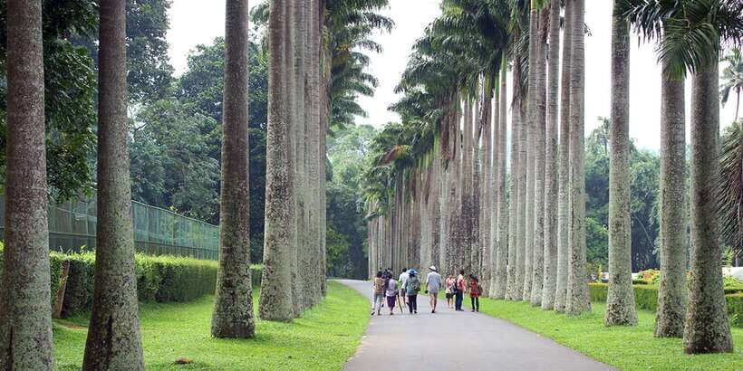 Kandy City Tour With Ambuluwawa Tower - Biodiversity Complex Near the Tower: Short Time, Interesting Contrast
