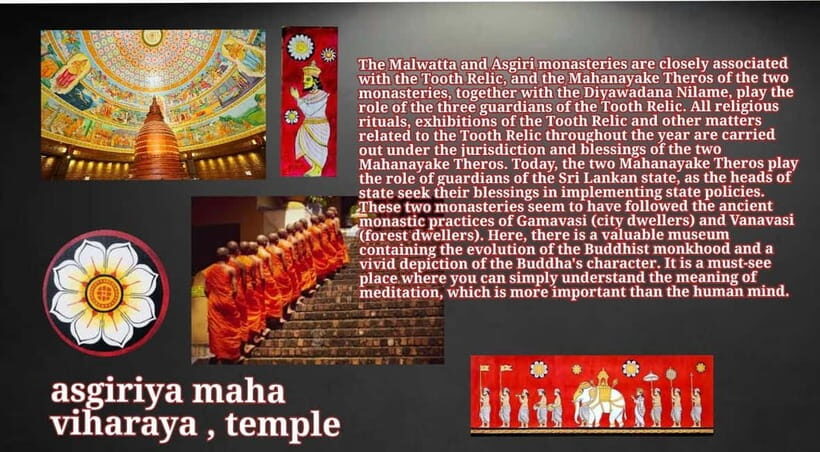 Kandy: City Tour with Temple of the Tooth & Tea Garden - Should You Book This Kandy City Tour with Tooth & Tea?