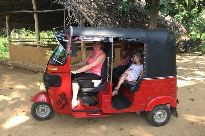 Kandy City Tuk Tuk guide Tour full Day - Stop 8: Royal Botanic Gardens Peradeniya for the big green reset (ticket extra)