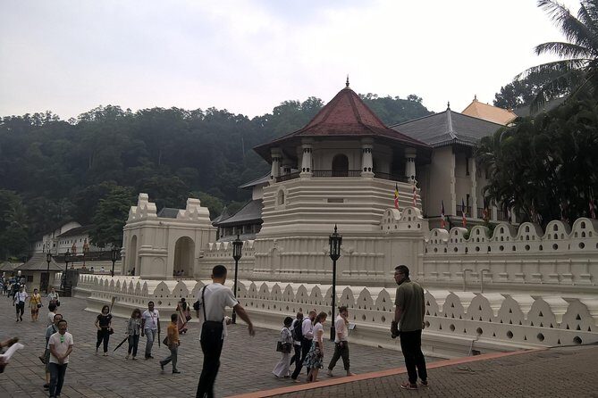 Kandy Day Tour From Colombo - Choosing your extras: tea plantation, market square, and Upper Lake Drive