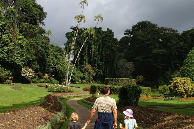 Kandy Day Tour From Colombo - Geragama Tea Factory: Ceylon tea in an hour