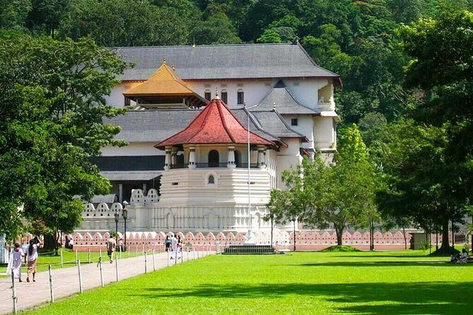 Kandy Day Tour From Colombo - Value and price: what $55 really buys you (and what you must pay separately)