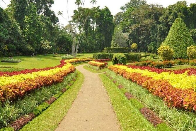 Kandy Day trip from Kalutara Beruwala Bentota Aluthgama Wadduwa - Pickup from the south coast: where the day starts matters
